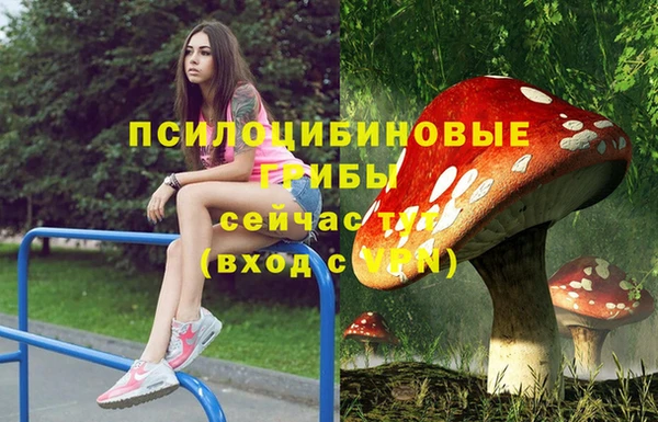 бошки Вязники